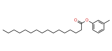 3-Methylphenyl hexadecanoate